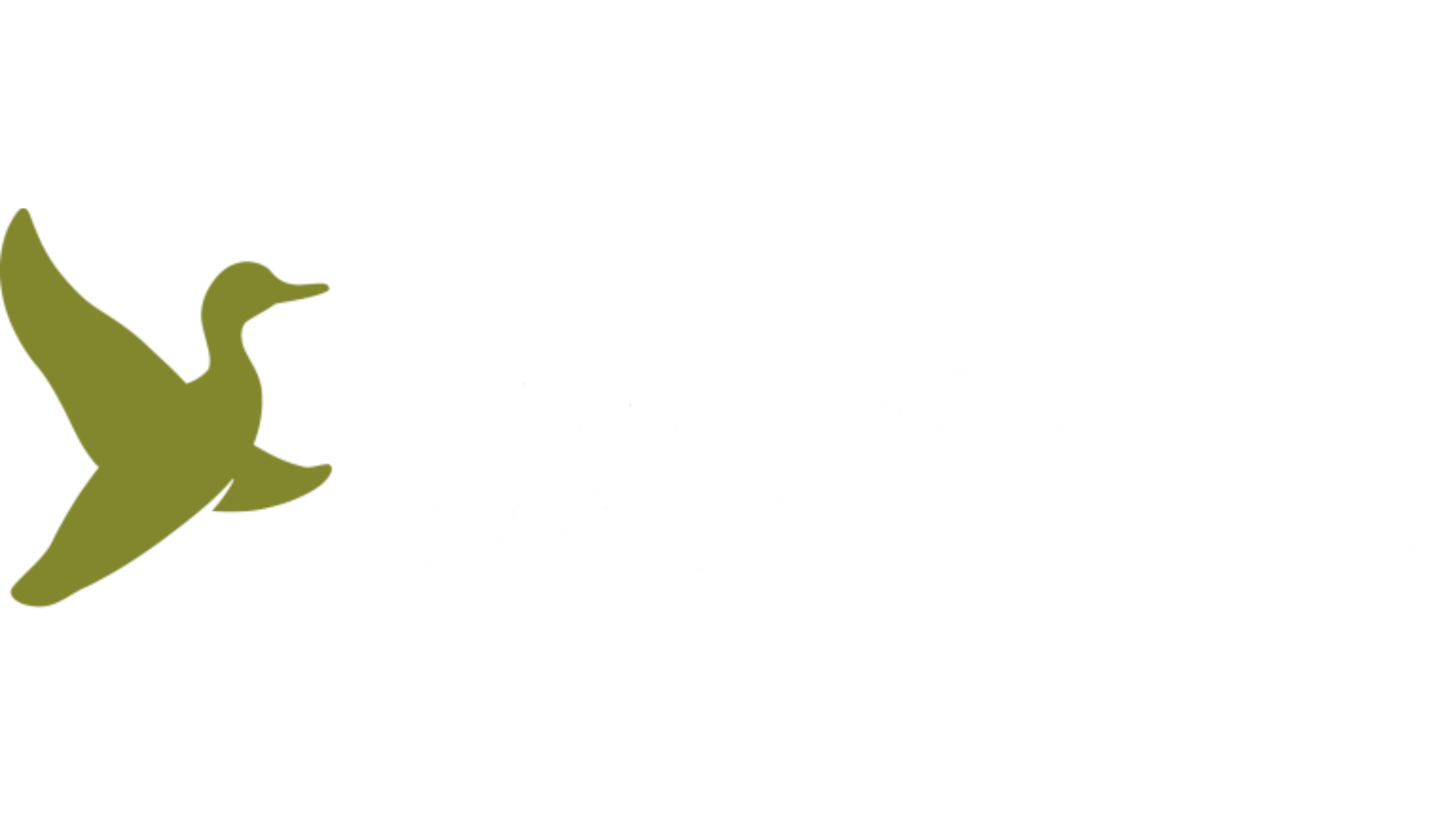 djf-logo-hvid.png